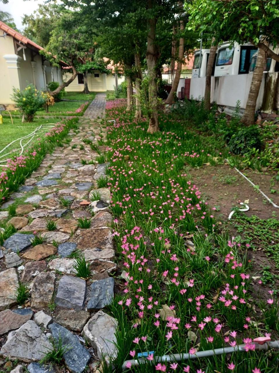 Sai Gon Con Dao Resort Luaran gambar